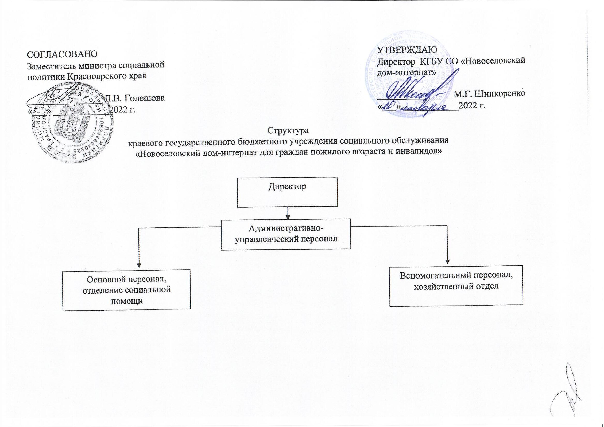 Структура учреждения — Новоселовский дом-интернат для граждан пожилого  возраста и инвалидов